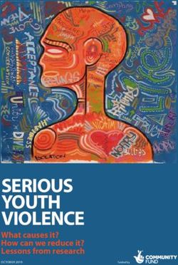 SeriouS Youth Violence - What causes it? how can we reduce it? lessons from research - UK Youth