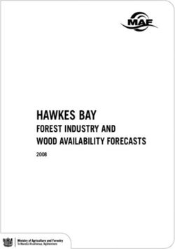 HAWKES BAY FOREST INDUSTRY AND WOOD AVAILABILITY FORECASTS 2008 - MPI