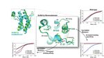 SUBSTRATE AFFINITY AND SPECIFICITY OF THE SCSTH1P BROMODOMAIN ARE FINE-TUNED FOR VERSATILE HISTONE RECOGNITION - BIORXIV