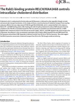 The Rab11-binding protein REL CH/KIAA1468 controls intracellular cholesterol distribution