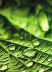 BioMAT 2019 08 - May 2019 Weimar, Germany - Program - Deutsche Gesellschaft f&uuml;r Materialkunde eV
