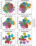 Probing neural networks with t-SNE, class-specific projections and a guided tour