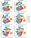 Probing neural networks with t-SNE, class-specific projections and a guided tour