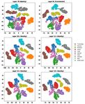 Probing neural networks with t-SNE, class-specific projections and a guided tour