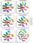 Probing neural networks with t-SNE, class-specific projections and a guided tour