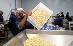 The Current State of Fruit & Vegetable Agro-Processing in South Africa - Commissioned by the Netherlands Enterprise Agency
