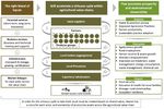 The Current State of Fruit & Vegetable Agro-Processing in South Africa - Commissioned by the Netherlands Enterprise Agency