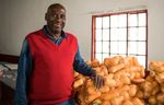 The Current State of Fruit & Vegetable Agro-Processing in South Africa - Commissioned by the Netherlands Enterprise Agency