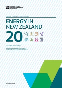 20 ENERGY IN NEW ZEALAND - MBIE