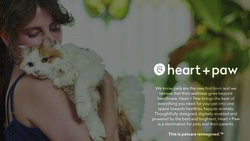 This is petcare reimagined - Segall Group