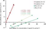 Improvement of photosynthesis in rice (Oryza sativa L.) by inserting the C4 pathway