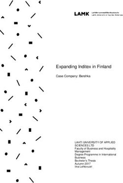 Expanding Inditex in Finland - Case Company: Bershka - Core