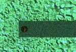 Computers and Mathematics with Applications - Yan ...