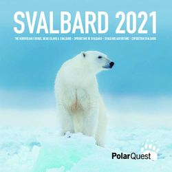 SVALBARD 2021 THE NORWEGIAN FJORDS, BEAR ISLAND & SVALBARD - SPRINGTIME IN SVALBARD - SVALBARD ADVENTURE - EXPEDITION SVALBARD