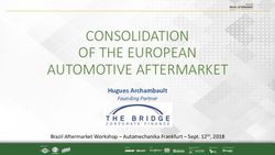 CONSOLIDATION OF THE EUROPEAN AUTOMOTIVE AFTERMARKET - Hugues Archambault Founding Partner - The Bridge presentation