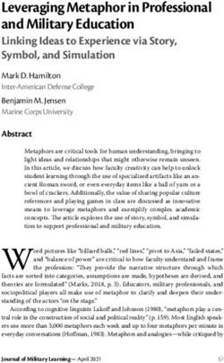 Leveraging Metaphor in Professional and Military Education