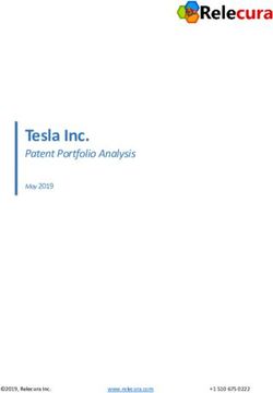 Tesla Inc. Patent Portfolio Analysis - May 2019 - Relecura