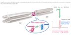 Featured Mass Spectrometer