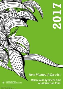 New Plymouth District - Waste Management and Minimisation Plan - New ...