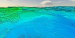 National Geospatial Strategy Related to Natural Hazards and Disasters - International Federation of ...