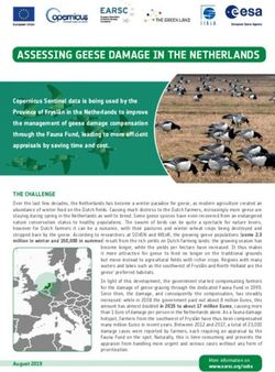 ASSESSING GEESE DAMAGE IN THE NETHERLANDS - Earsc