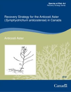 Recovery Strategy for the Anticosti Aster - (Symphyotrichum anticostense) in Canada - Wildlife ...