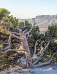 Nevada State Broadband Connectivity Strategy - Digital - OSIT