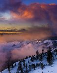 Nevada State Broadband Connectivity Strategy - Digital - OSIT