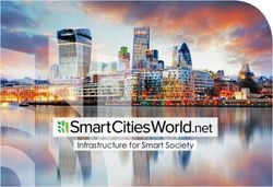 Net Infrastructure for Smart Society - SJP Business Media