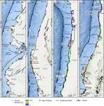 Marine terraces of the last interglacial period along the Pacific coast of South America (1 N-40 S)