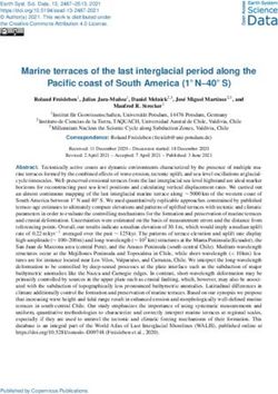 Marine terraces of the last interglacial period along the Pacific coast of South America (1 N-40 S)