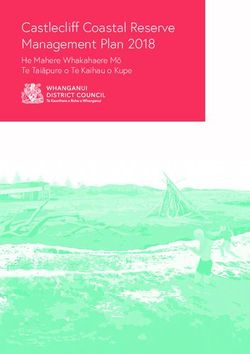 Castlecliff Coastal Reserve Management Plan 2018 - He Mahere Whakahaere Mō Te Taiāpure o Te Kaihau o Kupe