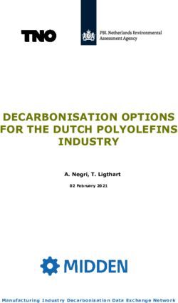 DECARBONISATION OPTIONS FOR THE DUTCH POLYOLEFINS - INDUSTRY A. Negri, T. Ligthart - PBL