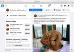 OBJECTION RE: DEVELOPMENT APPLICATION - JERRARA DOG BREEDING AND SALES DEVELOPMENT APPLICATION 10.2021.253.1