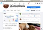 OBJECTION RE: DEVELOPMENT APPLICATION - JERRARA DOG BREEDING AND SALES DEVELOPMENT APPLICATION 10.2021.253.1