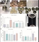 END-OF-LIFE RUBBER ADDITIVE MANUFACTURING WITH LIQUID LATEX AND RECYCLED