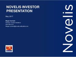 NOVELIS INVESTOR PRESENTATION - May 2017 Megan Cochard Director, Investor Relations 404-760-4170