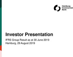 Investor Presentation - IFRS Group Result as at 30 June 2019 Hamburg, 29 August 2019 - Hamburg Commercial Bank