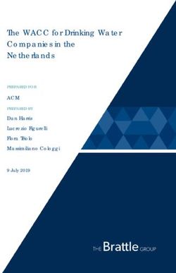 The WACC for Drinking Water Companies in the Netherlands - ACM PREPARED FOR PREPARED BY - Rapport The Brattle Group