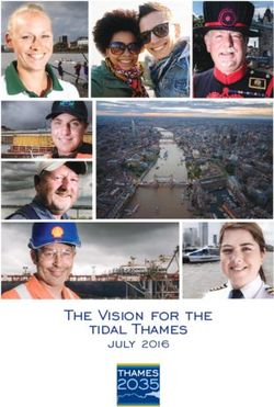 2035 The Vision for the tidal Thames - july 2016 - Tower Hamlets