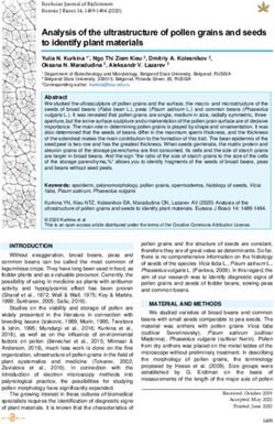 Analysis of the ultrastructure of pollen grains and seeds to identify plant materials