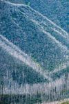 Summer Insider's Guide - Falls Creek