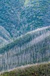 Summer Insider's Guide - Falls Creek