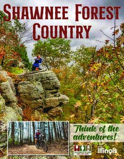 Shawnee Forest Country - Think of the adventures! - Southernmost Illinois Tourism