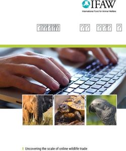 Disrupt: Wildlife Cybercrime - Uncovering the scale of online wildlife trade - International Fund for Animal Welfare
