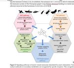 Diversity and Functions of Yeast Communities Associated with Insects