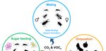 Diversity and Functions of Yeast Communities Associated with Insects