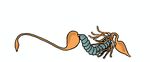 Diversity and Functions of Yeast Communities Associated with Insects