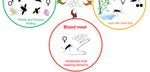 Diversity and Functions of Yeast Communities Associated with Insects