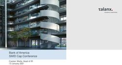Bank of America SMID Cap Conference - Carsten Werle, Head of IR 13 January 2021 - Talanx AG